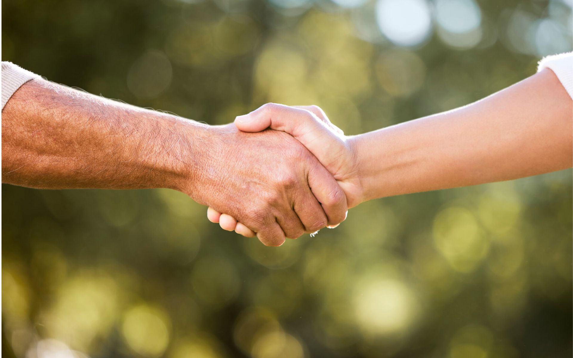 Nos lignes directrices